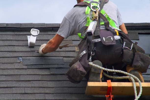 Best New Roof Installation  in Waverly, MI