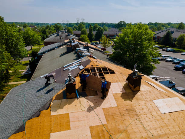 Best Best Roofing Contractors  in Waverly, MI