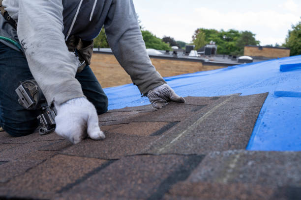 Waverly, MI Roofing Contractor Company