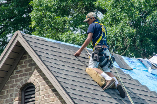Best New Roof Installation  in Waverly, MI