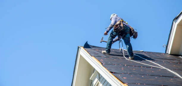 Best Metal Roofing Contractor  in Waverly, MI